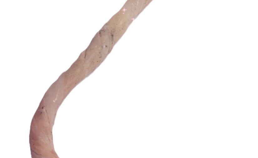 grande bougie blanche (grande chandelle blanche)