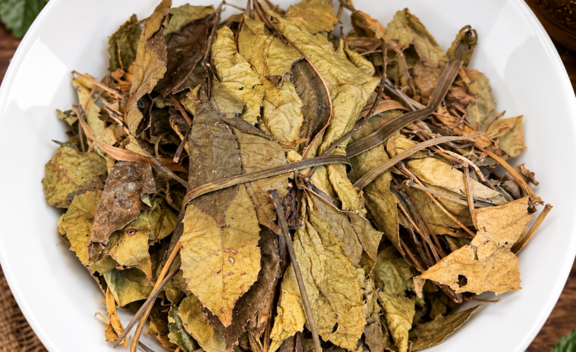 Feuilles/FÈY HYSOPE